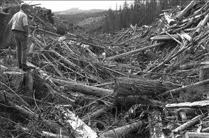 A man stands on a tree stump looking down at piles of logs and branches. In the distance, logged hillsides and patches of trees. 